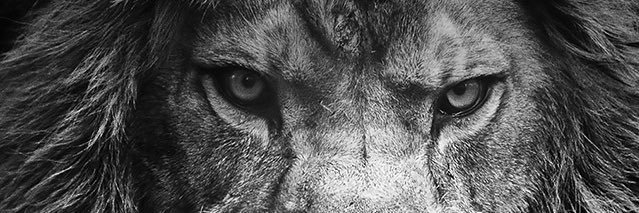 dubby2323's profile banner image