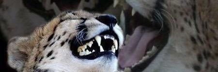 edogawaaa__'s profile banner image