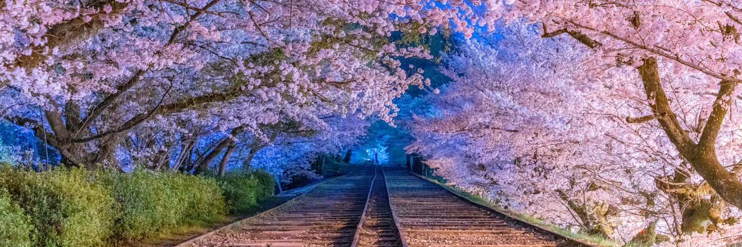 suzu540's profile banner image