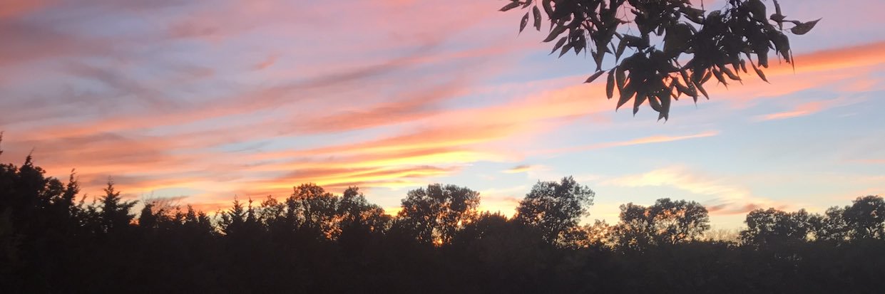 BrodyCarls's profile banner image