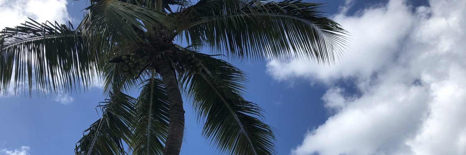 mrkyll's profile banner image