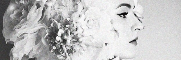 Daria Strokous banner