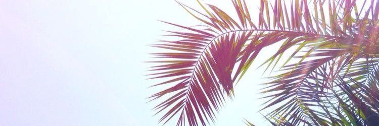 meg777p's profile banner image