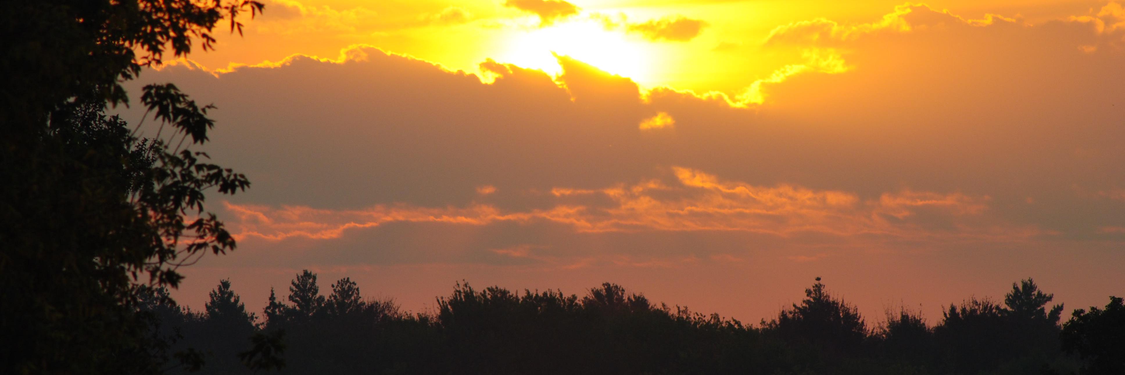 Zmineau's profile banner image