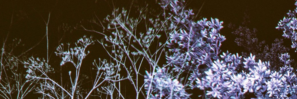 TheresTalk's profile banner image
