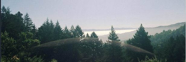 haleytweetz's profile banner image