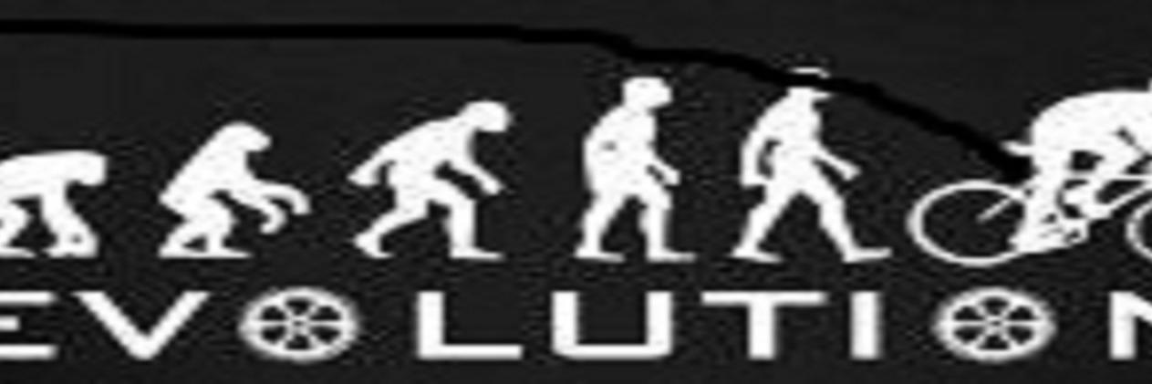 _cadil_'s profile banner image