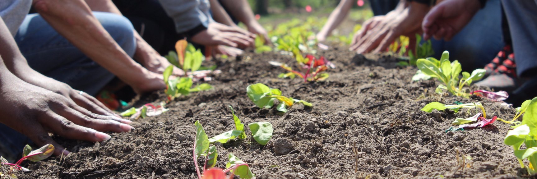 EarthDance Organic Farm School banner