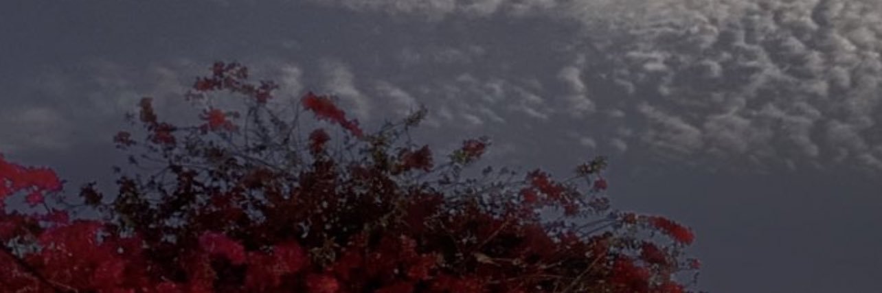 mmmm118's profile banner image