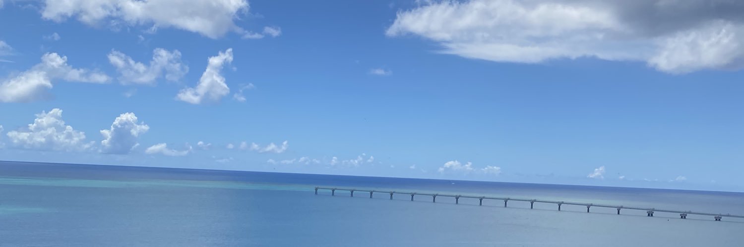 hanamisaku's profile banner image