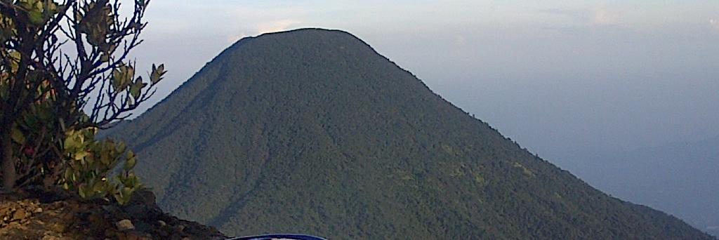 AryoHarto's profile banner image