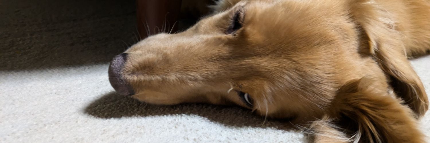 GUNGNILL's profile banner image