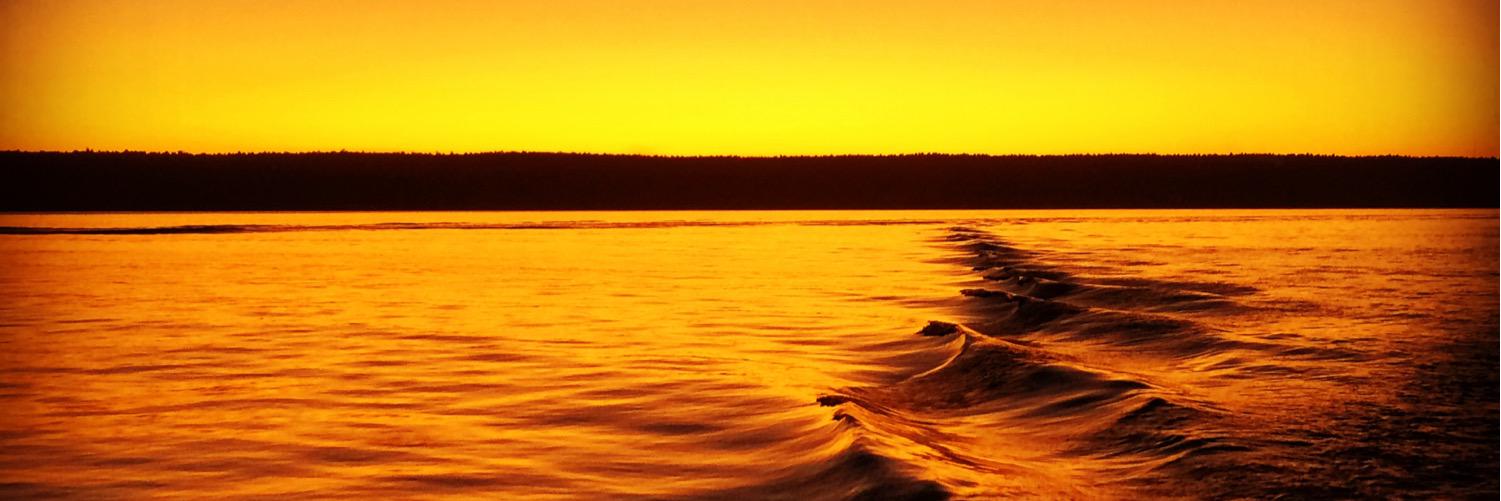 damien_els's profile banner image
