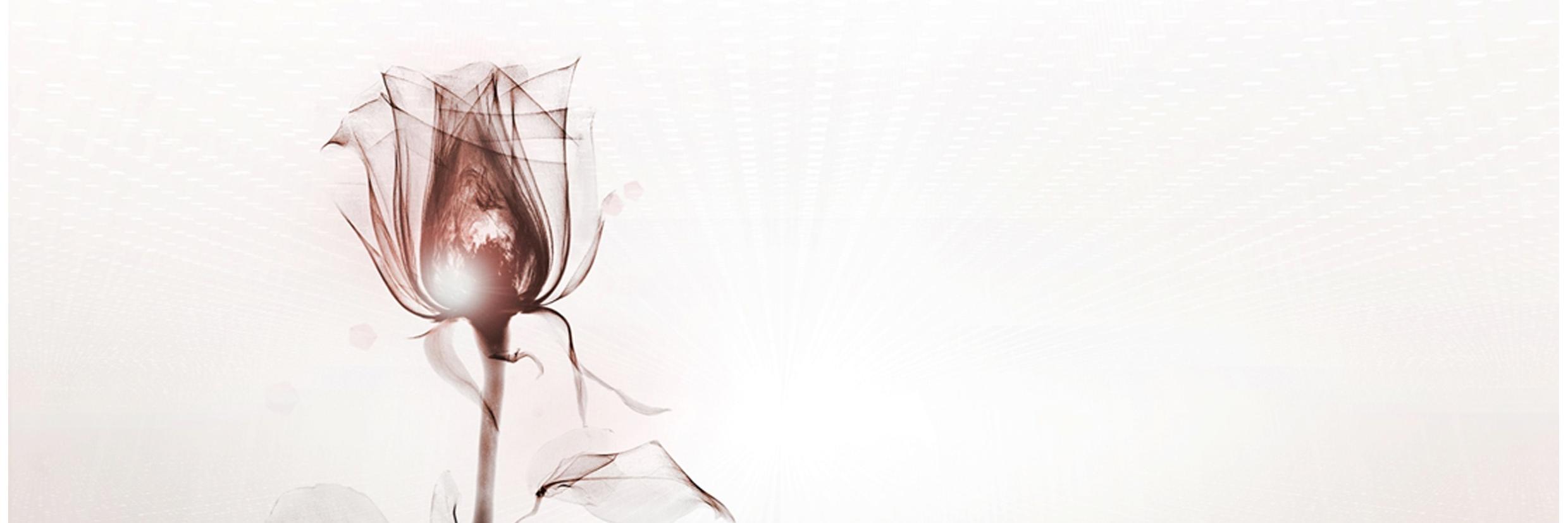 babor_sa's profile banner image