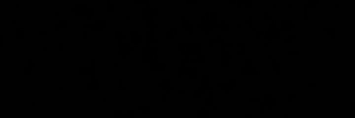 primaJC's profile banner image