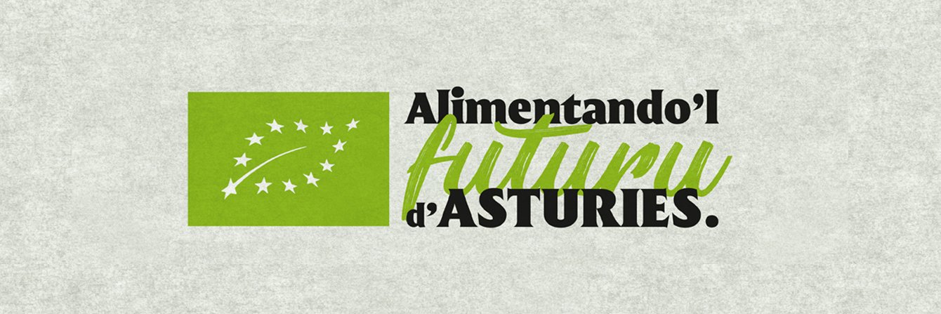 COPAE Asturias banner