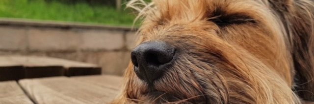 MathsClur's profile banner image
