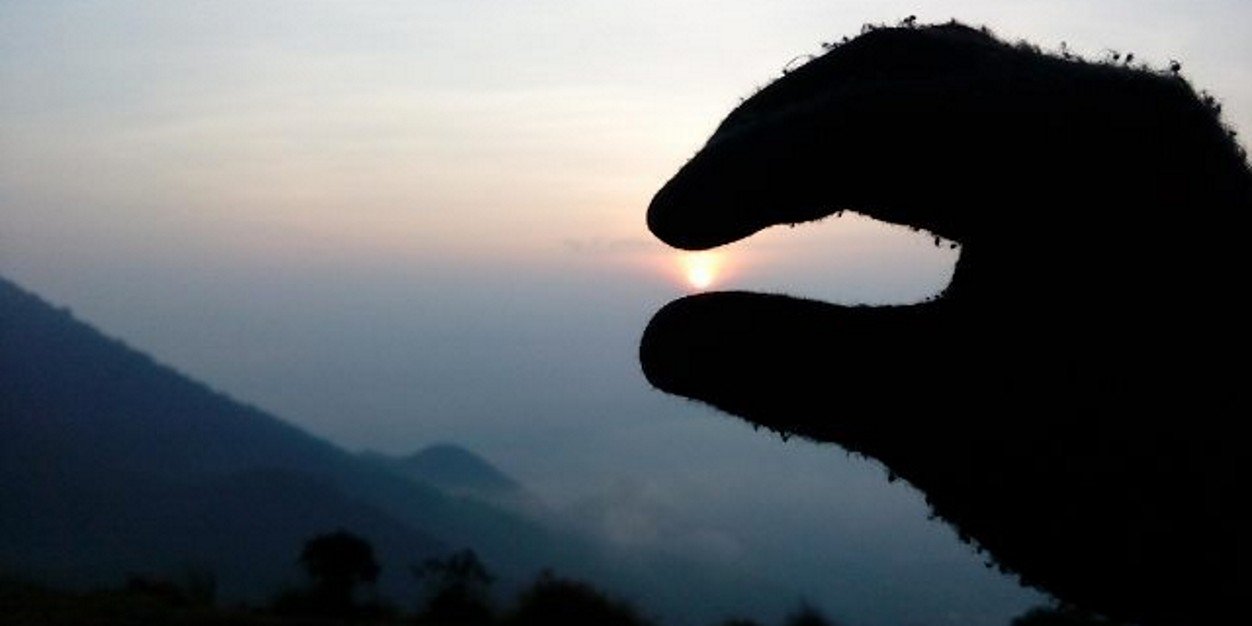 pupunpm's profile banner image