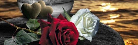 ,,,الـثـريـا,,, banner