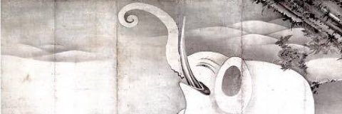 loudelephant's profile banner image