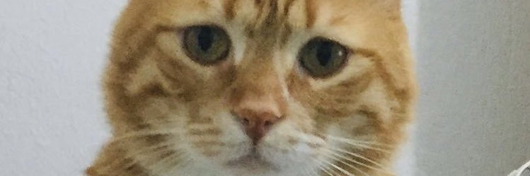derossnmz's profile banner image