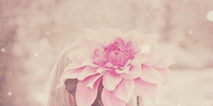 wasm9's profile banner image