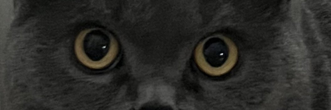 Cimb0mAdam's profile banner image