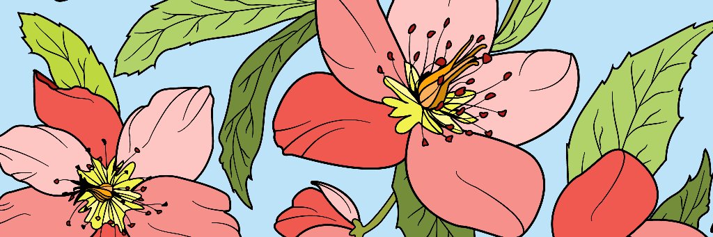 LooPlou03's profile banner image