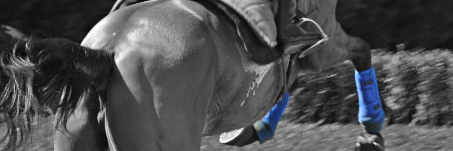 HodgsonRacing's profile banner image