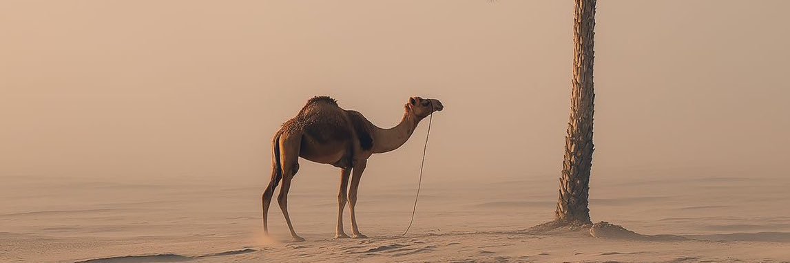 muteebhm's profile banner image