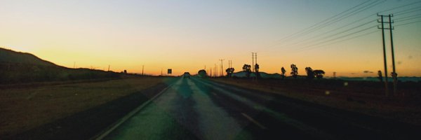 DorinaPrech Profile Banner