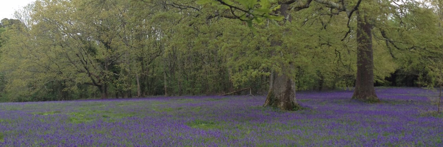 carolinestudd's profile banner image
