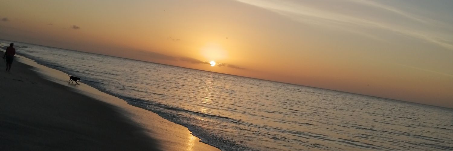 javega010's profile banner image