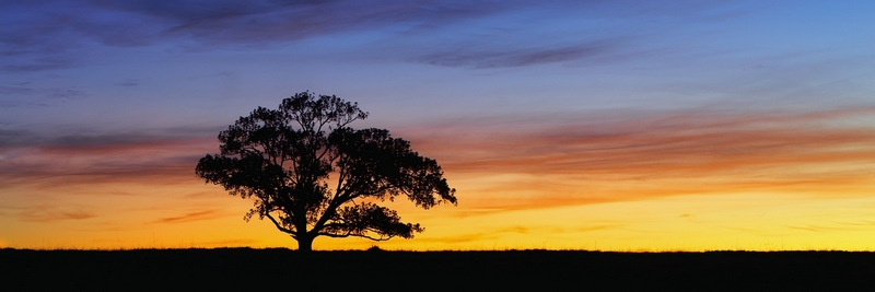 FRANCEPLASSE's profile banner image