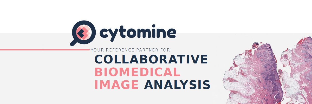 cytomine's profile banner image