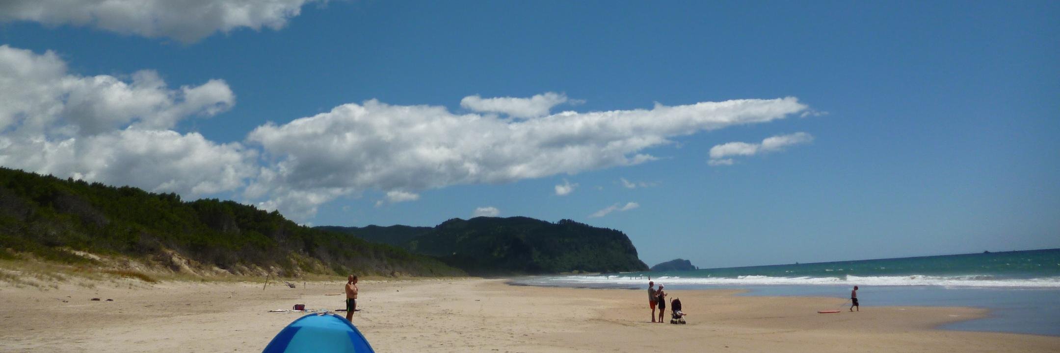Jack_Millar_NZ's profile banner image