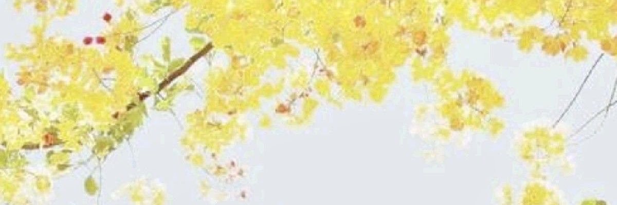 flawlessen's profile banner image