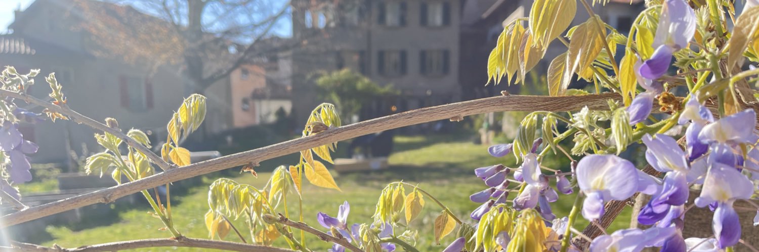 SilvyTorricelli's profile banner image