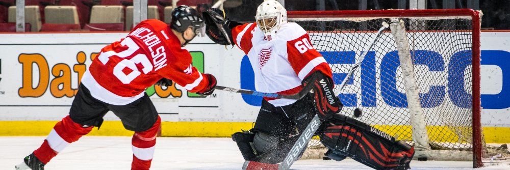 Jamie Nicholson banner