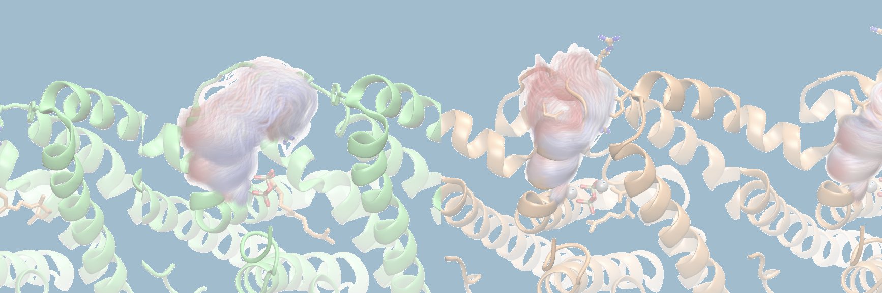 marcvanderkamp@bluesky.social banner