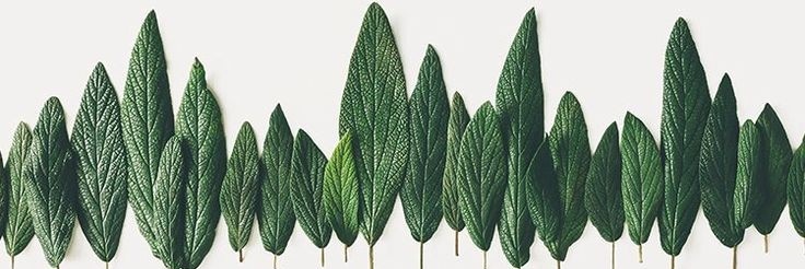laurarodal_'s profile banner image