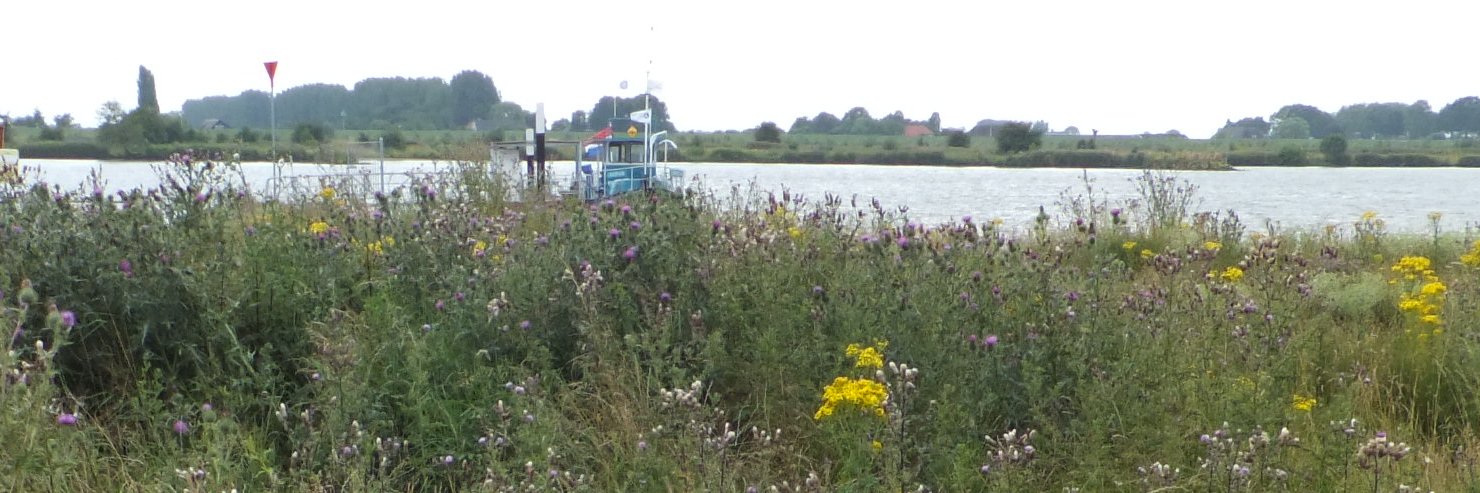 Nichol Brummer @Nichol@mstdn.social banner