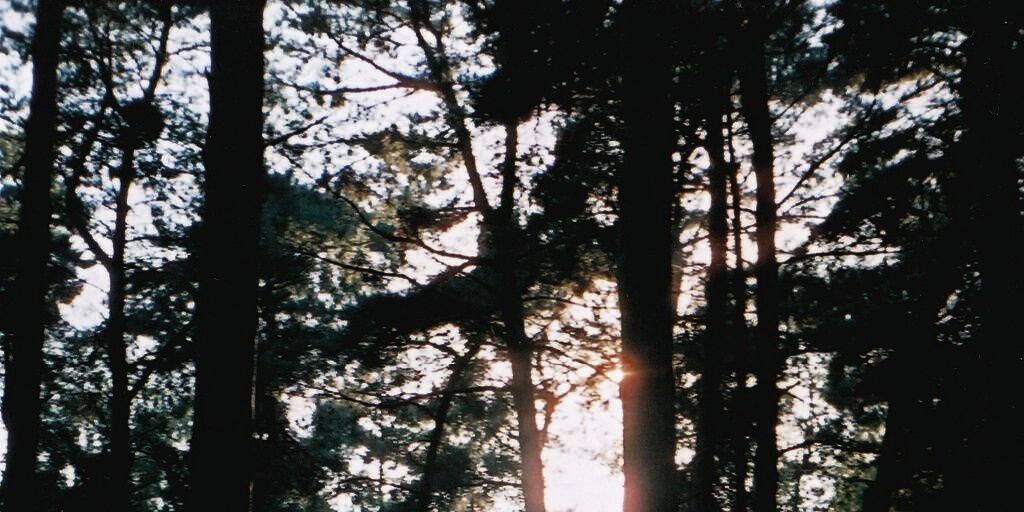_joshcliff's profile banner image
