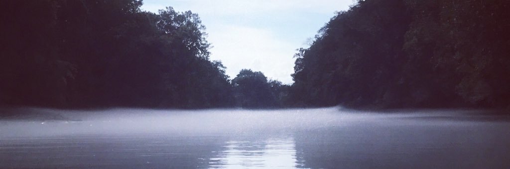 KimMangum's profile banner image
