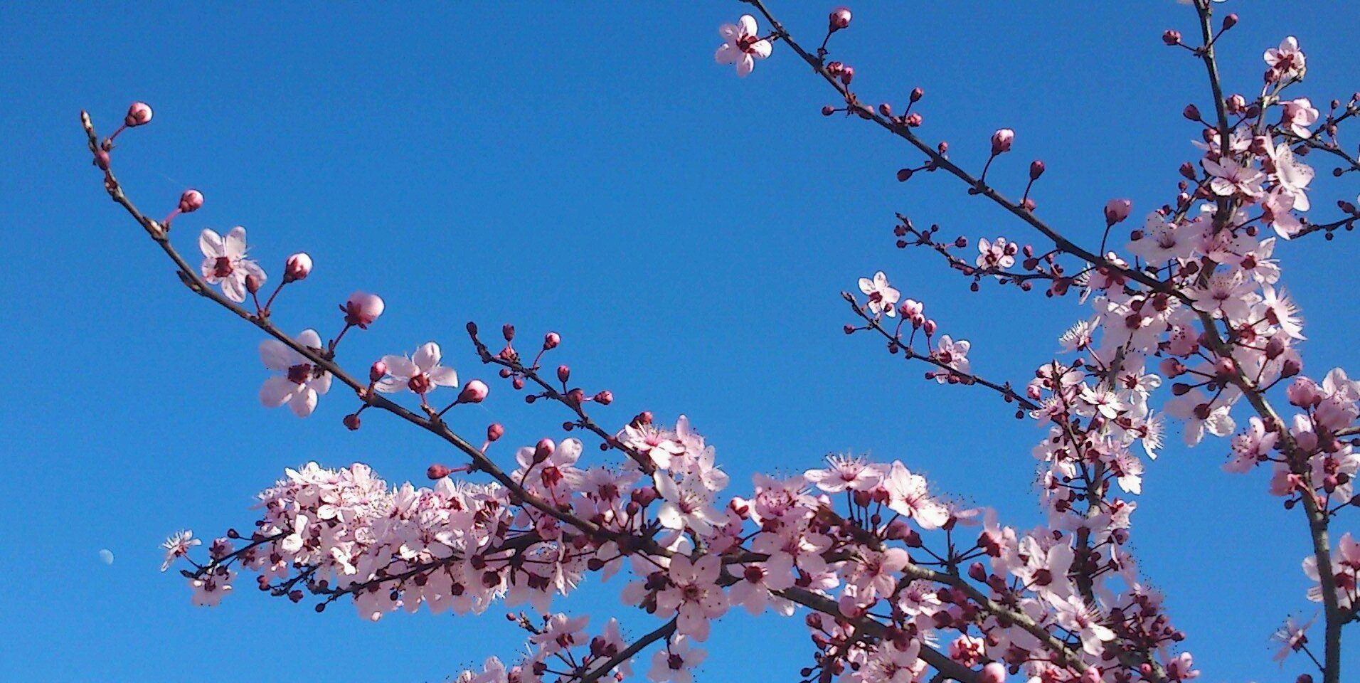 Pat28051's profile banner image
