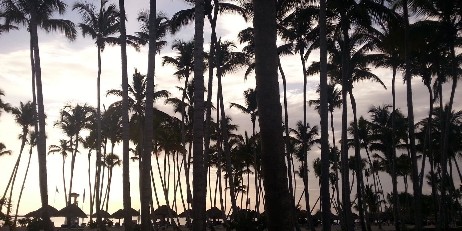 hernando_alvaro's profile banner image