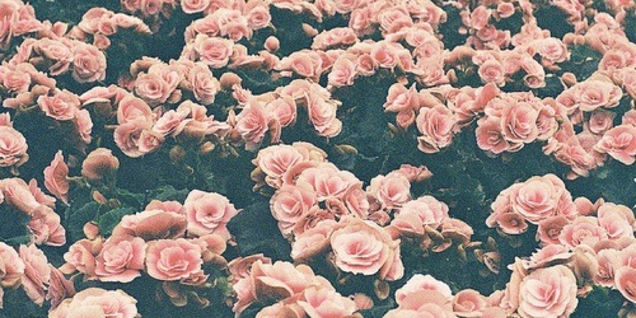 baeggiee's profile banner image
