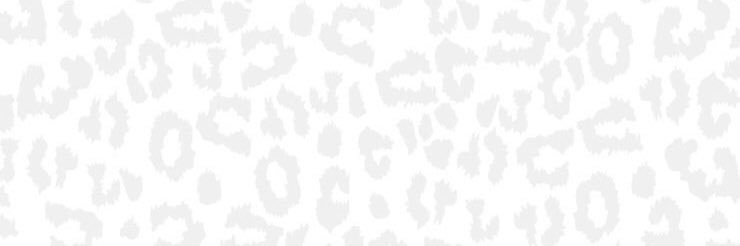 MaddyBrinkman's profile banner image