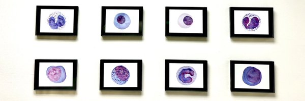 Paeanox Profile Banner