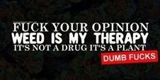 Doogie_Damage's profile banner image
